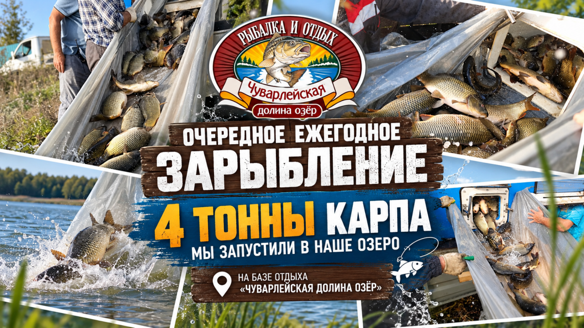 А у нас Ежегодное зарыбление! А у нас Ежегодное зарыбление!
