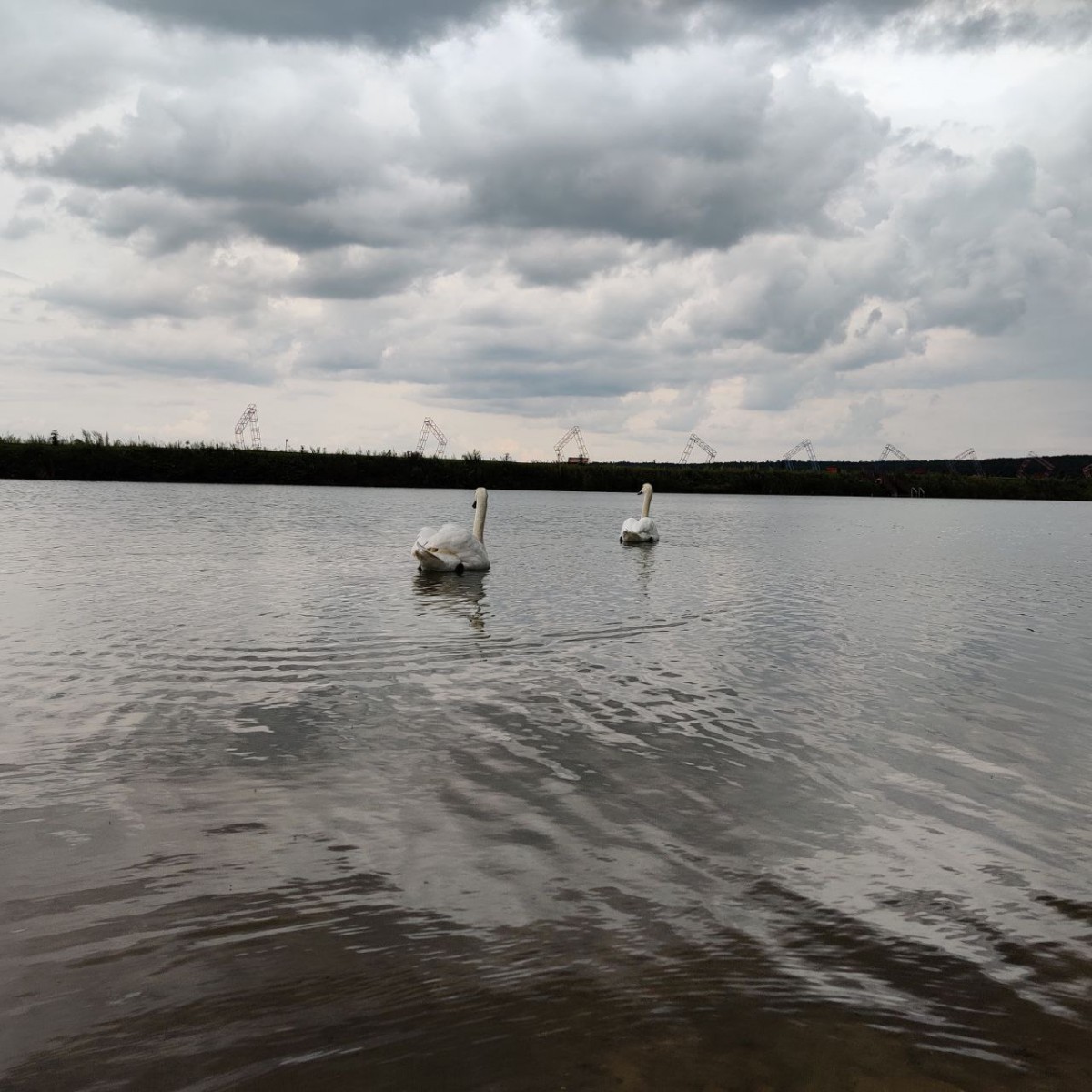 photo_2024-07-29_14-56-53 (2).jpg photo_2024-07-29_14-56-53 (2).jpg