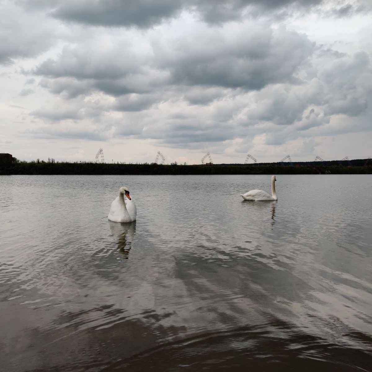 photo_2024-07-29_14-56-54.jpg photo_2024-07-29_14-56-54.jpg