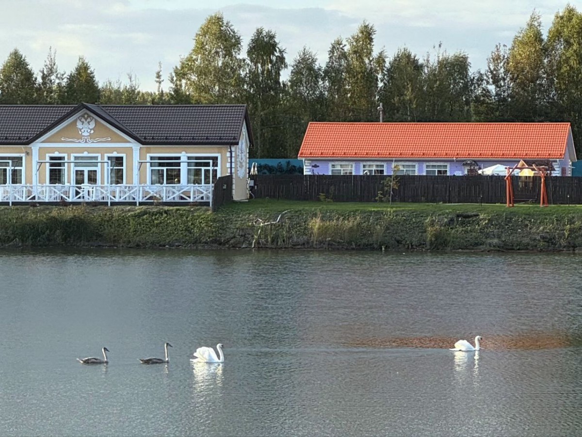 photo_4_2025-09-22_10-20-49.jpg photo_4_2025-09-22_10-20-49.jpg